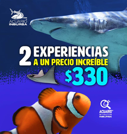Evento de Acuario Inbursa